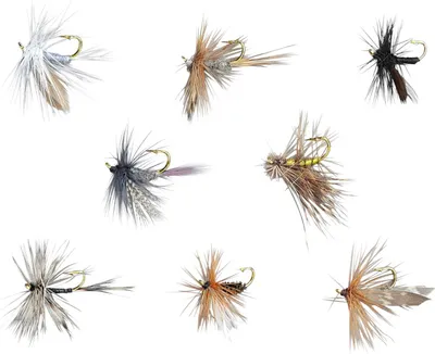 Produktbild von Balzer Edition Fly Trockenfliegen-Sortiment