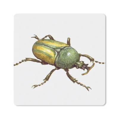 Produktbild von MuchoWow® Mauspad Mousepad Käfer - Insekten - Aquarell 20x20 cm - Mousepads - Maus Mat - Pad - Mausunterlage - Desk Mat - Bureauartikeln