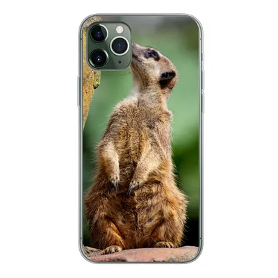 Produktbild von MuchoWow® Handyhülle Schutzhülle Hülle für iPhone 11 Pro Max Erdmännchen - Tier - Rock Silikon Softcase Handy Hülle - Schutz