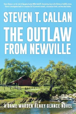 Produktbild von The Outlaw from Newville
