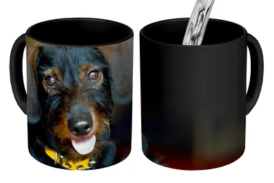 Obrázok produktu pre MuchoWow® Magický pohár Roztomilý čierny jazvečík 350 ml Pohár na zmenu farby Darček Nápad na darček - Foto hrnček