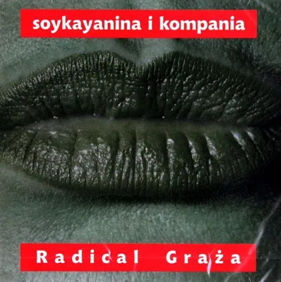 Obrázok produktu pre Stanislaw Soyka: Radikálna hra