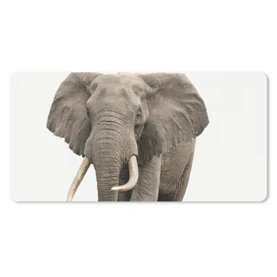 Produktbild von MuchoWow® Mauspad Mousepad Elefant - Kinder - Tiere - Mädchen 60x30 cm - Mousepads - Maus Mat - Pad - Mausunterlage - Nachhaltig