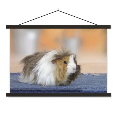 Produktbild von MuchoWow® Textilposter Mini-Meerschweinchen 150x100 cm mit schwarzem Rahmen - Schlafzimmer