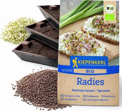 Produktbild von Samenshop24® Keimsprossen "Radies" Anzucht-SET, Saat + 3 Keimschalen (das Original)