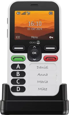 Produktbild von Doro Leva X10, Balken, Single SIM, 6,1 cm (2.4"), 2 MP, 1150 mAh, Graphit