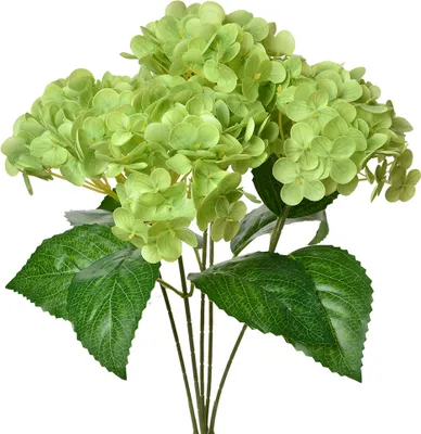 Produktbild von Clayre & Eef Kunstblume 45 cm Grün Kunststoff