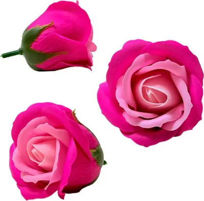 Image de Rose de savon bicolore - rose-fuchsia