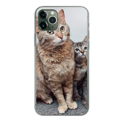Produktbild von MuchoWow® Handyhülle Schutzhülle Hülle für iPhone 11 Pro Max Katze - Kätzchen - Fell Silikon Softcase Handy Hülle - Schutz