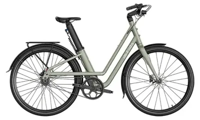 Immagine prodotto di Fiido C700 - Bicicletta elettrica - 28 pollici - Motore 250W - Autonomia 83 km - Freni a disco idraulici - Batteria 313Wh - Accesso ribassato - Verde