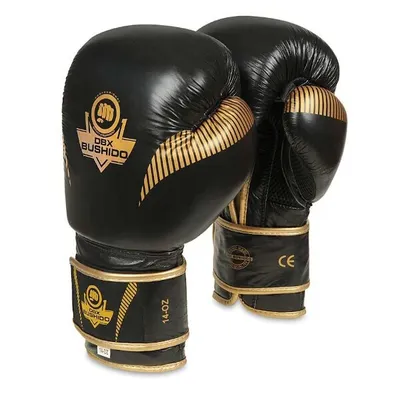 Obrázek produktu pro Boxerské rukavice DBX BUSHIDO B-2v13 14oz.