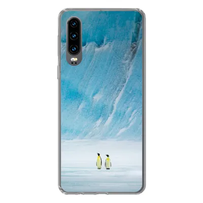 Produktbild von MuchoWow® Handyhülle Schutzhülle Hülle für Huawei P30 Zwei Kaiserpinguine vor einem Eisberg Silikon Softcase Handy Hülle - Kartenbesitzer
