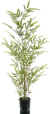 Produktbild von GASPER Bambus Miniblatt Grün Naturstamm im Kunststofftopf 90 cm - Kunstblumen