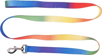 Immagine prodotto di Corda di piombo arcobaleno neon multicolore