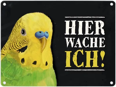 Produktbild von Metallschild mit Wellensittich grün Motiv und Spruch: Hier wache ich!