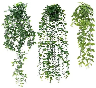 Image de Plantes artificielles pour murs végétaux, lot de 3, 63-80 cm, pour l'intérieur et l'extérieur