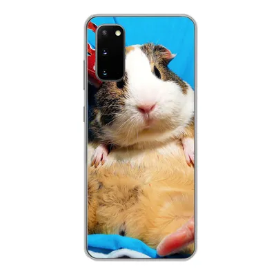 Produktbild von MuchoWow® Handyhülle Schutzhülle Hülle für Samsung Galaxy S20 Meerschweinchen - Lustig - Krone - Kinder - Jungen - Mädchen - Kind Silikon Softcase Handy Hülle - Bild
