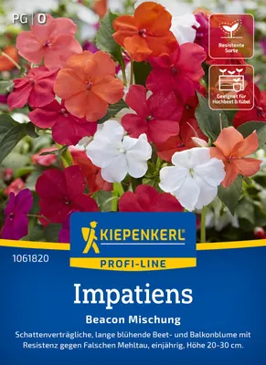 Produktbild von Kiepenkerl Impatienssamen Beacon F1 20 Pflanzen