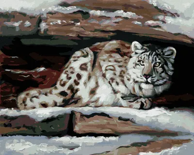 Produktbild von Zuty - Malen nach Zahlen - SCHNEELEOPARD IM VERSTECK (D. RUSTY RUST), 40x50 cm, mit Keilrahmen (bereits gespannt)