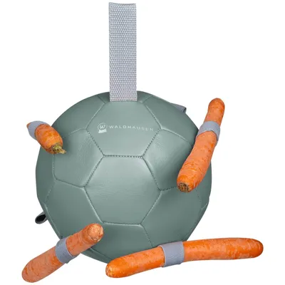 Obrázok produktu pre Waldhausen mrkvová lopta na hranie pre kone na aktivity, veľkosť:ONE