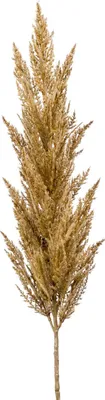 Produktbild von artplants.de Dekozweig Pampas Gras Rispe BATERNO, Hellbraun, 115cm - Kunst Pampasgras/Künstliches Pampasgras