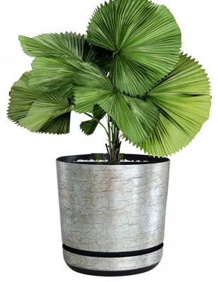 Produktbild von Kerd Dekor Blumentopf mit Untersetzer Ø 16 cm Antiksilber