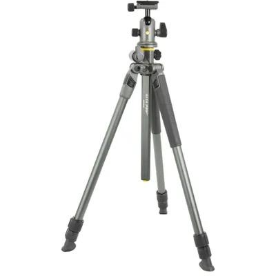 Produktbild von Vanguard Alta Pro 2+ 263AB 100 Aluminiumstativ mit Alta BH-1