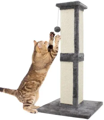 Immagine prodotto di Uniqoos® Albero per gatti da 81 cm – robusto e versatile, con sisal e peluche, colonna modulare a 2 sezioni e base extra stabile