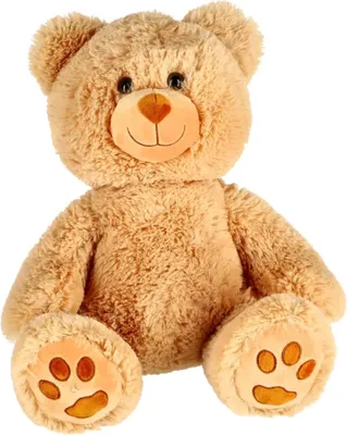 Produktbild von Bär Plüsch Beige 35 cm