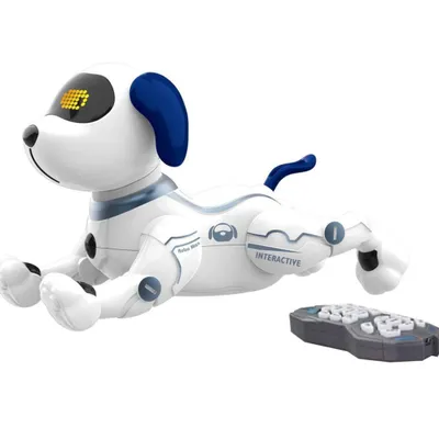 Immagine prodotto di Robot interattivo per cani telecomandato Robo Max di Gear2Play
