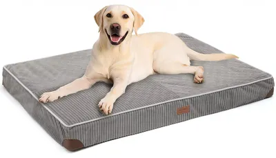 Produktbild von Orthopädisches Hundebett mit waschbarer Bezug