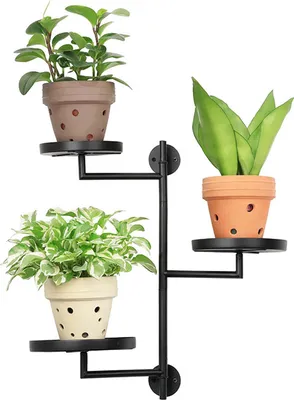 A black metal plant stand with three tiers, holding three different potted plants against a white background.
