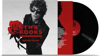 Obrázok produktu pre The Kooks: The Kooks: Never/Know - - (LP / N)