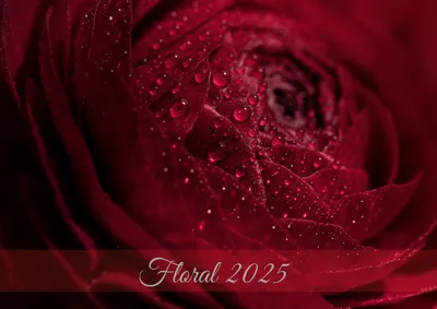 Produktbild von raxxa Premium-Monatskalender Floral 2025 DIN-A4 quer