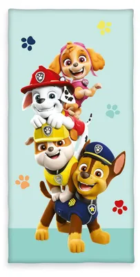Productafbeelding van Paw Patrol fluwelen deken / 75x150 cm