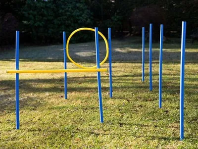 Produktbild von Dog Agility Trainings-Set 1 für Einsteiger