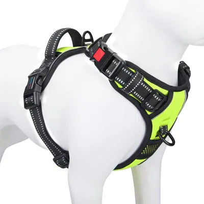 Productafbeelding van Anti-trek hondenharnais, groen, met trainingshandgreep en reflecterend materiaal