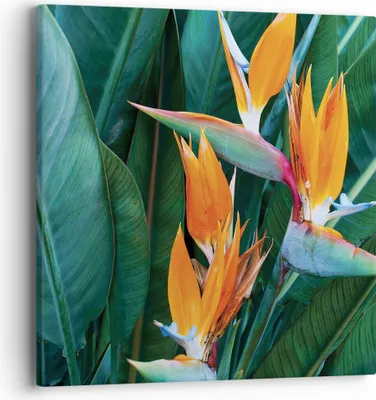 Produktbild von Bild auf Leinwand - Leinwandbild - Einteilig - Himmlisch Vogel Blume - 40x40cm - Wand Bild - Wanddeko - Wandbilder - Leinwanddruck - Bilder - Wanddekoration - Leinwand bilder - Wandbild - AC40x40-4980