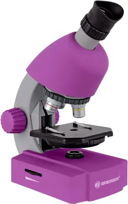 Obrázok produktu pre Bresser Optics Junior 40x-640x, Optický mikroskop, Fialová, 640x, 40x, LED, Batérie