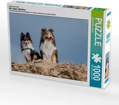 Produktbild von Calvendo Ein Motiv aus dem Kalender Wir lieben Shelties 1000 Teile Puzzle quer 640x480mm, Reiß - Seibert Marion; 7355998