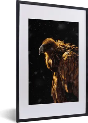 Produktbild von MuchoWow® MuchoWow® Gerahmtes Poster Geier - Vogel - Raubvogel 40x60 cm - Poster mit zchwarzem Bilderrahmen - Poster in Rahmen
