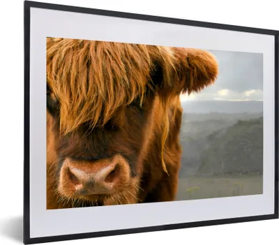 Produktbild von MuchoWow® MuchoWow® Gerahmtes Poster Schottisches Hochlandrind - Natur - Porträt 60x40 cm - Poster mit zchwarzem Bilderrahmen - Schlafzimmer - Plakat in Rahmen - Drucken