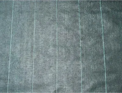 Image de Toile de Paillage Anti Mauvaises Herbes, 4,20 x 5 m, 100 g/m², Traitée Anti UV, Noire