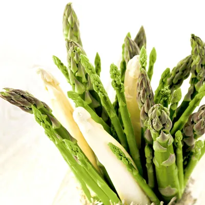 Produktbild von RP 20 Servietten Asparagus 33x33cm