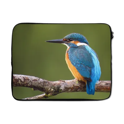 Produktbild von MuchoWow® Laptop Hülle 15 Zoll Eisvogel - Äste - Baum Laptoptasche - Laptoptasche - Sleeve - Rundum-Schutz