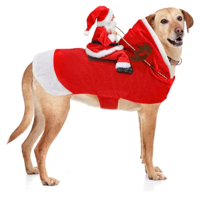 Produktbild von BWOGUE Weihnachtsmannkostüm für Hunde, Weihnachten, Haustierkleidung, Weihnachts