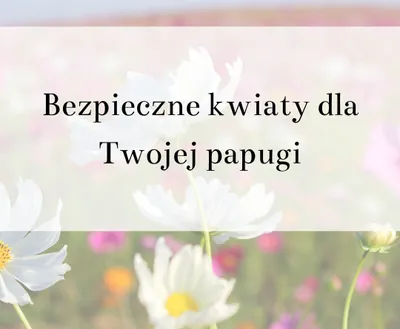 Zdjęcie produktu dla Poradnik ParrotPlanet- BEZPIECZNE KWIATY DLA TWOJEJ PAPUGI