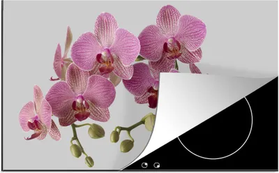Produktbild von KitchenYeah© Herdabdeckplatte Orchideen auf grauem Hintergrund , 91x52cm, Küche Deko, Glaskeramikkochfeld Herdabdeckung, Abdeckplatte fùr Kochfeld