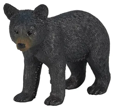 Image de Ours noir Mojo Wildlife - 387287