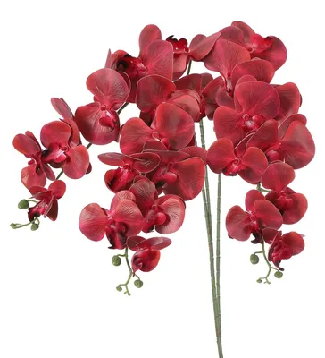 Obrázok produktu pre Umelé vetvičky orchideí Phalaenopsis na dekoráciu